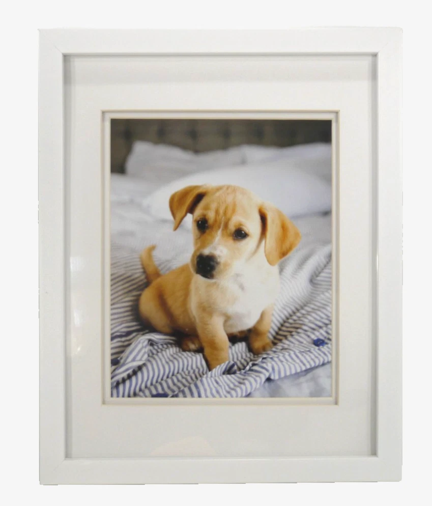 〈まとめ買い3枚セット〉 ニールセン nielsen 8x10インチ 額 白色 Nielsen Picture Frames for sale | eBay