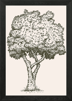Detailed Tree Sketch Framed Wall Art Poster Canvas Print Picture