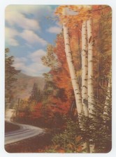 Nature's Canvas 1960's Vari-Vue Lenticular 3-D Postcard