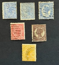 Queensland collection from 1890 (E596)