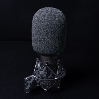 Fame C01 Deluxe - Großmembran-Kondensator-Mikrofon - Gebraucht - mit Spinne