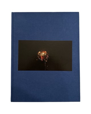 Apichatpong Weerasethakul Sourcebook: The Serenity of Madness