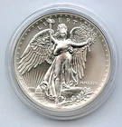 2024 Saint Gaudens Winged Liberty 1 Oz Silver Double Eagle Specimen - JR250