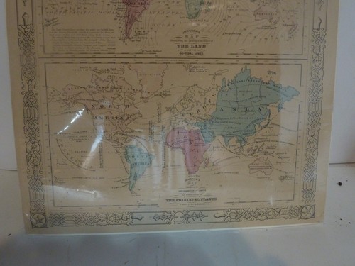 Johnson’s Map of the World — Meteorology, The Principal Plants - Picture 4 of 10