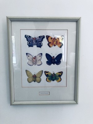 anne geddes butterfly babies