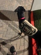 KONG Tactical Dog Vest/Harness Tan Size large With Carry Pouches