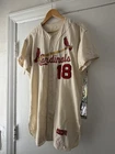 1969 Rawlings Game Worn St Louis Cardinals Jersey # 18 MIKE SHANNON 60s MLB Wool
