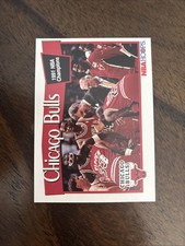 1990-91 NBA HOOPS Chicago Bulls