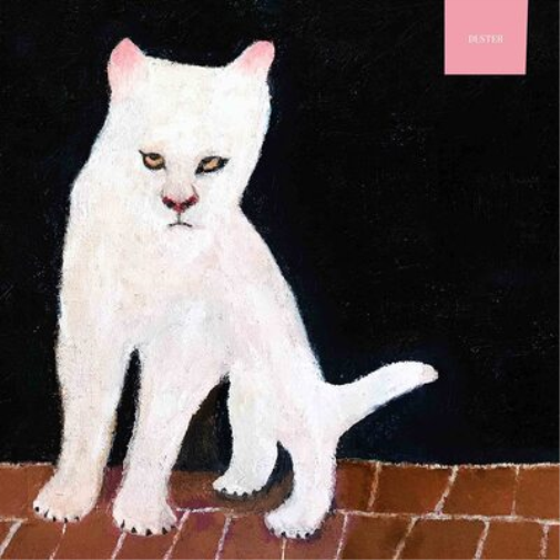Duster Duster (Cassette)