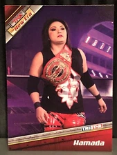 2010 Hamada TNA Tri-star WWE Wrestling Card  #53 Impact NWA AEW NJPW AAA Lucha