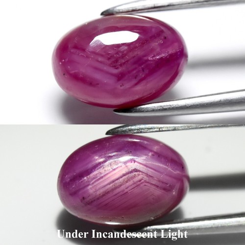 💎 Cabujón ovalado de 1,82 quilates 8x5,5 mm rojo púrpura 6 rayos estrella rubí - gema de África calentada
