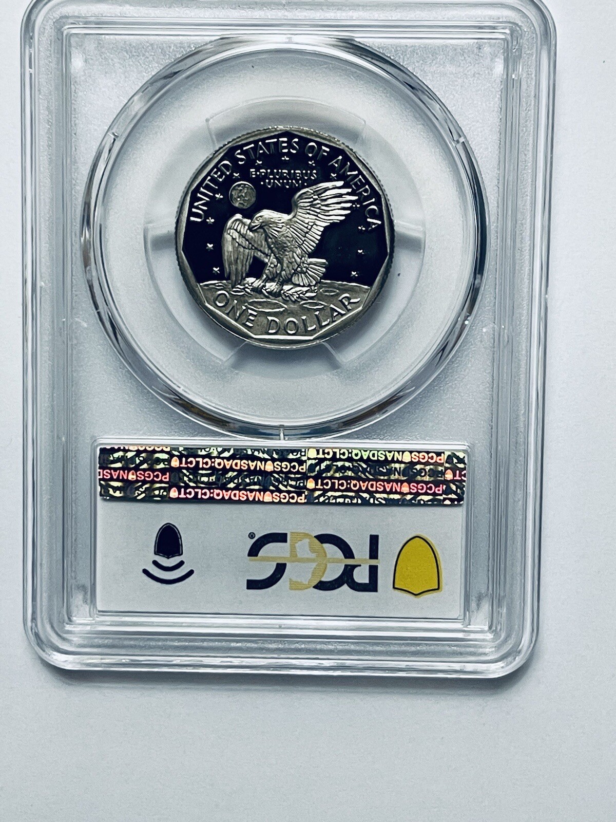 Picture 6 of 12