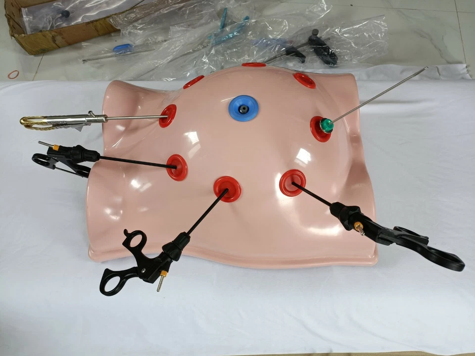 Endo Trainer Simulador Caja Kit de Entrenamiento Modelo Instrumentos Laparoscópicos Set 9 Piezas Foto 4 de 4