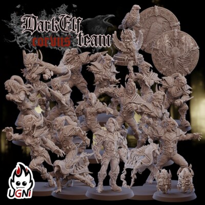 Dark Elf Team (Corvus Cabal Style) (x16) Fantasy Football - Ugni