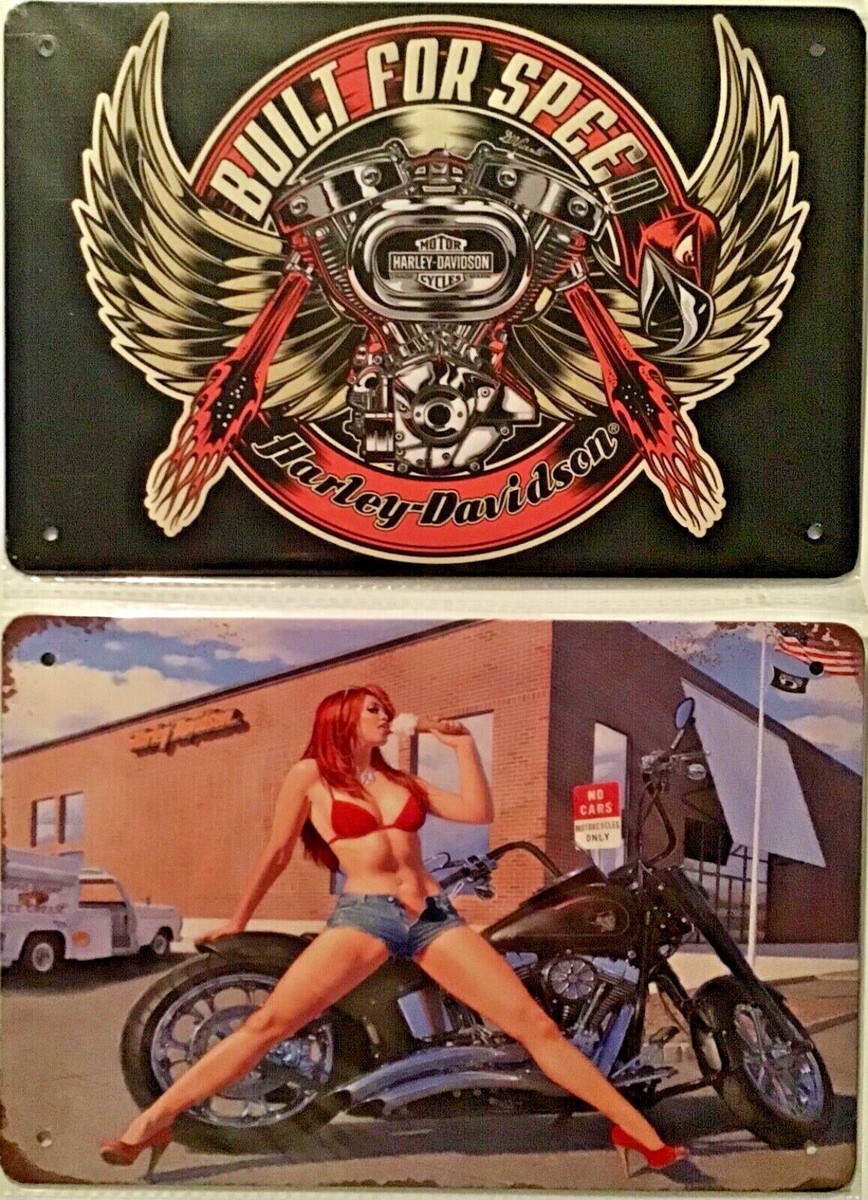 あ*み様 HARLEY-DAVIDSON バイブスFOX サイン入りバイクジャケ Two 8x12 TIN SIGNS Harley Davidson motorcycle Good humor speed