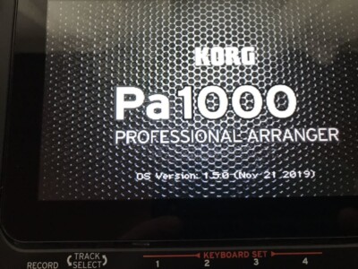 Korg PA1000 61-Key Professional Arranger Keyboard, Wine Red Unopen