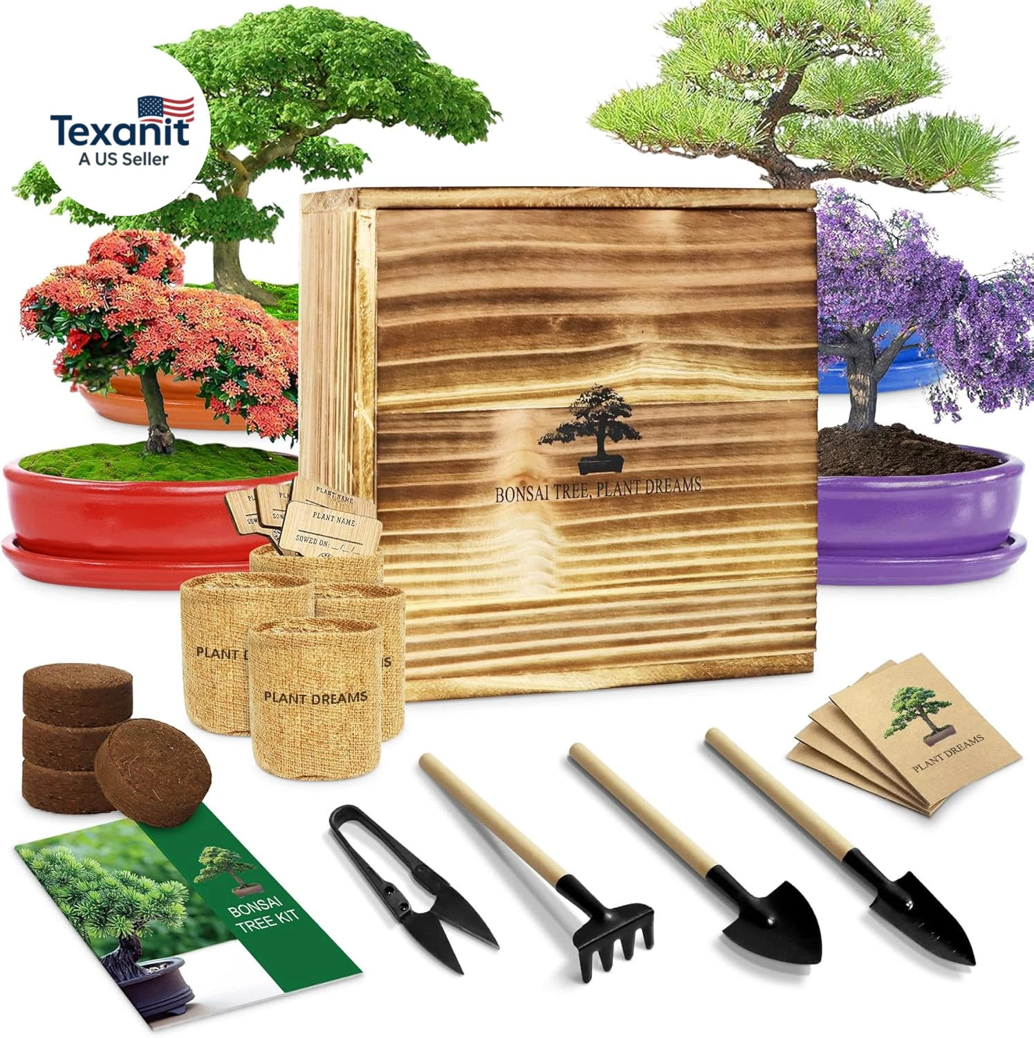 Bonsai Tree Starter Kit for Beginners - Indoor Live Plant Gardening Adult Craft