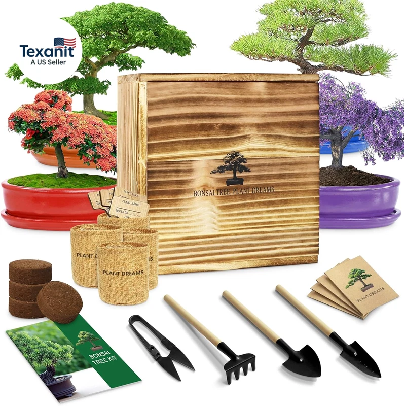 Bonsai Tree Starter Kit Beginners Indoor