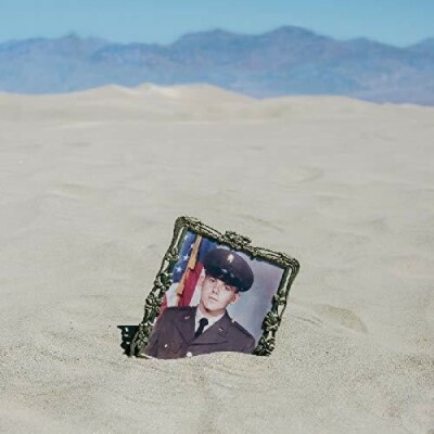 Ripe For Anarchy by Business of Dreams (Record, 2019)
