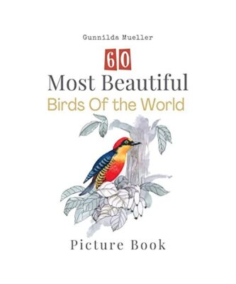 60 Most Beautiful Birds of the World Picture Book: 60 Bird Pictures for Seniors 