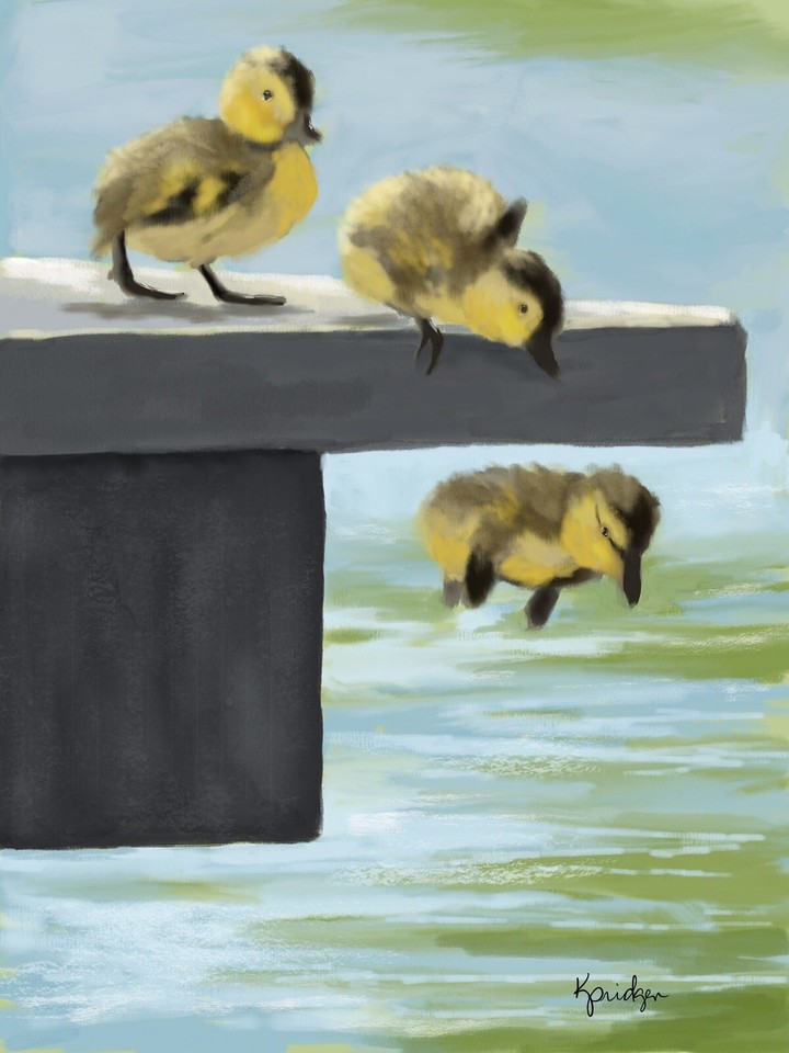 ACEO ATC Signed Print Art Print “Leap First” Duck Ducks Bird Artist ...