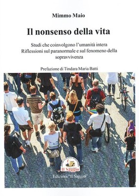Tindara Maria B Il nonsenso della vita. Studi che coinvolgono l'uman (Paperback)