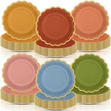 96 Pcs Fall Wildflower Color Paper Plates 9 Inch Colorful Boho Scalloped Pape...