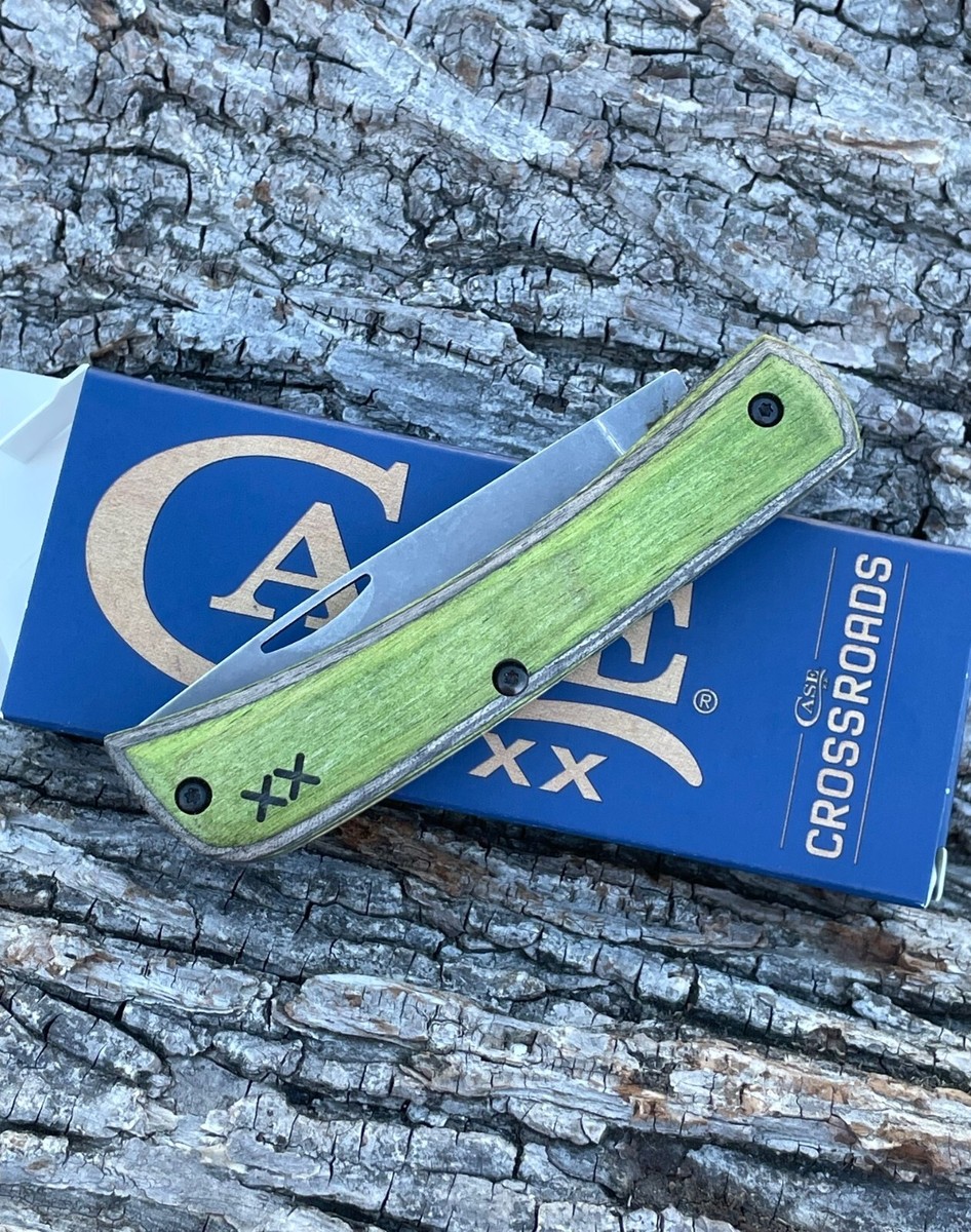 ファイナルエクスプロージョン PSA 10 Iron Crown ex SAR 094/071 Cyber Judge 2024 Pokemon