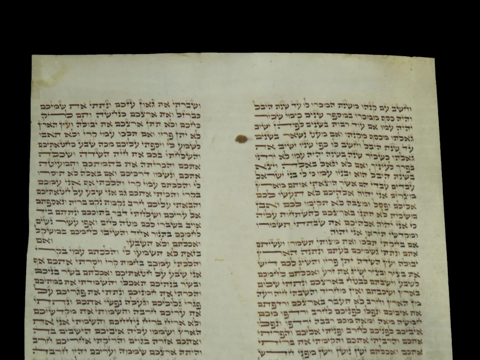 TORAH SCROLL BIBLE MANUSCRIPT FRAGMENT SMALL PARCHMENT 150 YRS POLAND Leviticus - Image 3 of 4