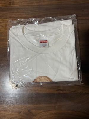 Supreme Dust Tee S シュプリーム Tシャツ ダスト ティー 半袖 Supreme