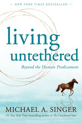 Living Unaufhaltsam: Beyond The Human Predicament Michael A.Singer (Englisch)