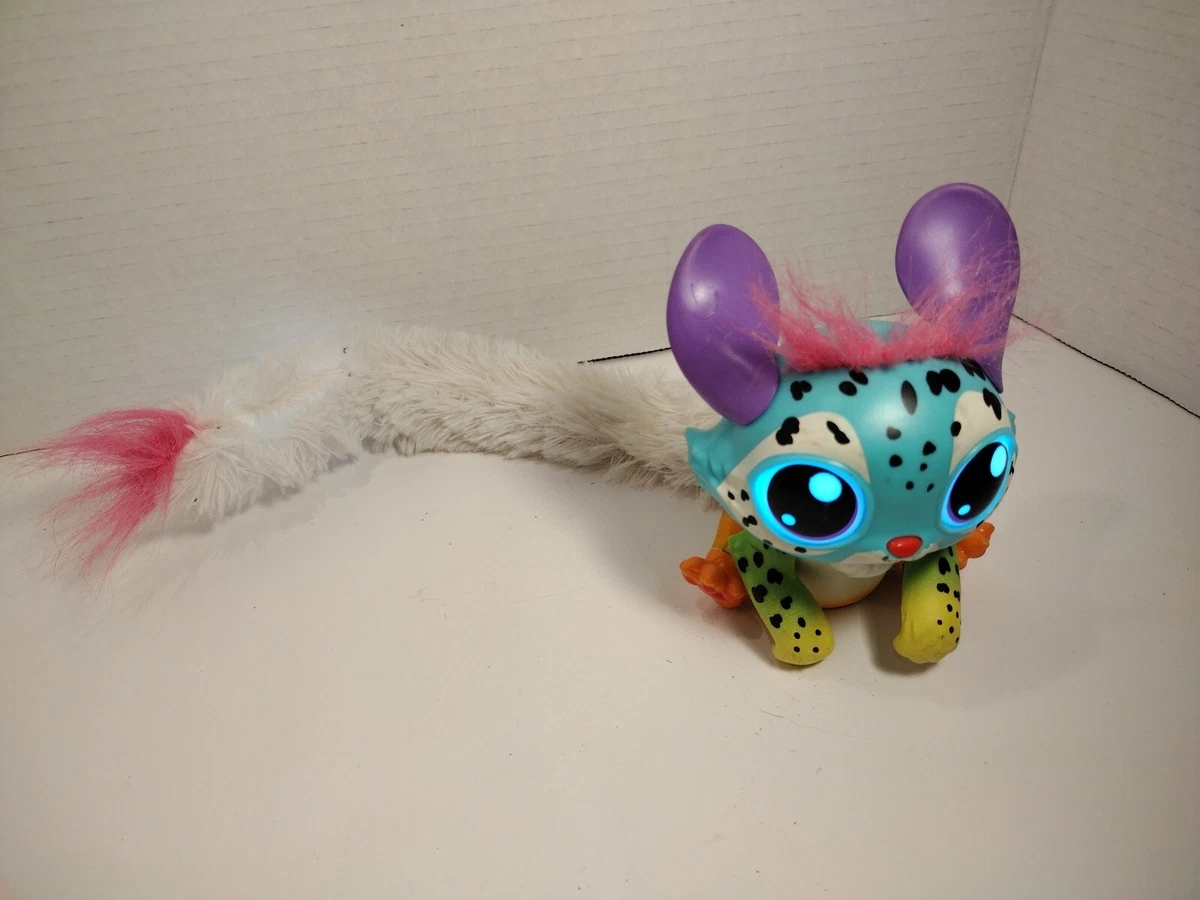 Rainbeam pet hotsell