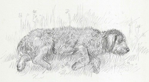 Otterhound "Rest" - Vintage Dog Art Print - 1938 KF Barker DD