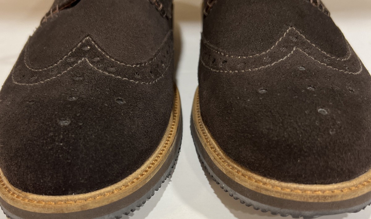 Tommy Bahama Wingtip Elliott Bucks Shoes Men Dark Brown Suede‎ YGI G2S-1 Size 13 Tommy Bahama Wingtip Elliott Bucks Shoes 9.5 Men Suede | eBay main image 4