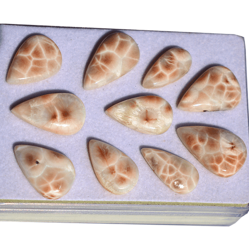 Lot 10 Pcs Natural Thompsonite AAA Quality 18.5mm-22.6mm Pear Cabochon Gemstones - Picture 5 of 13