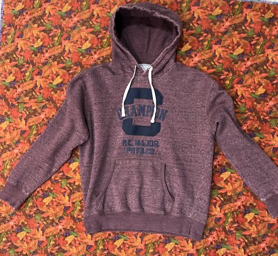 Champion Hoodie P.E. Major Phys Ed Pullover Sweatshirt Mens M