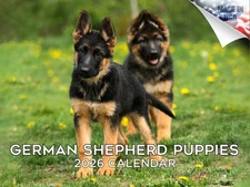 German Shepherd Pups Dog Breed Calendar 2026 12x18 Made in USA
