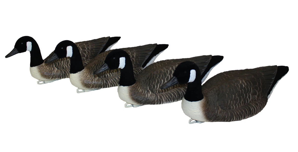 Canada goose 4 in 1 ebay cheap