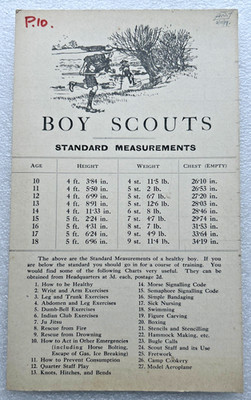 Pfadfinder 1919 - Standardmaßtafelbogen - mit Trainingstabelle
