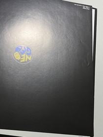 Art of Fighting Ryuko no Ken Gaiden LaserDisc Japan (PCLP-00605 SNK Neo Geo LD)