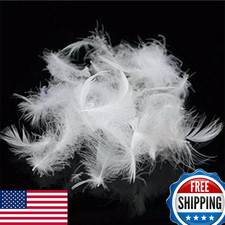 Rose Feather Bulk Goose Down Feather Stuffing Fill Hypoallergenic Pillow