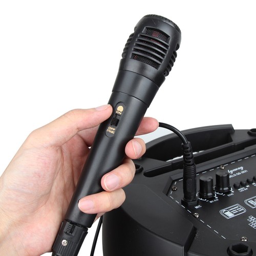 Dual Subwoofer Bluetooth Speaker Portable Woofe PA System DJ Party Mic Remote - Afbeelding 13 van 16