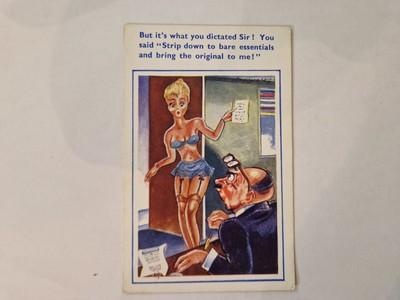 Postkarte Meer Comic Frech Risqué Aber es ist, was Sie diktiert haben Sir