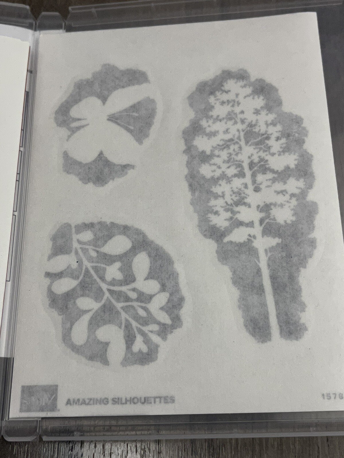Picture 5 of 5