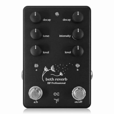 One Control Beth Reverb Tomo Fujita Signature Model Hall Gitarren-Effektpedal