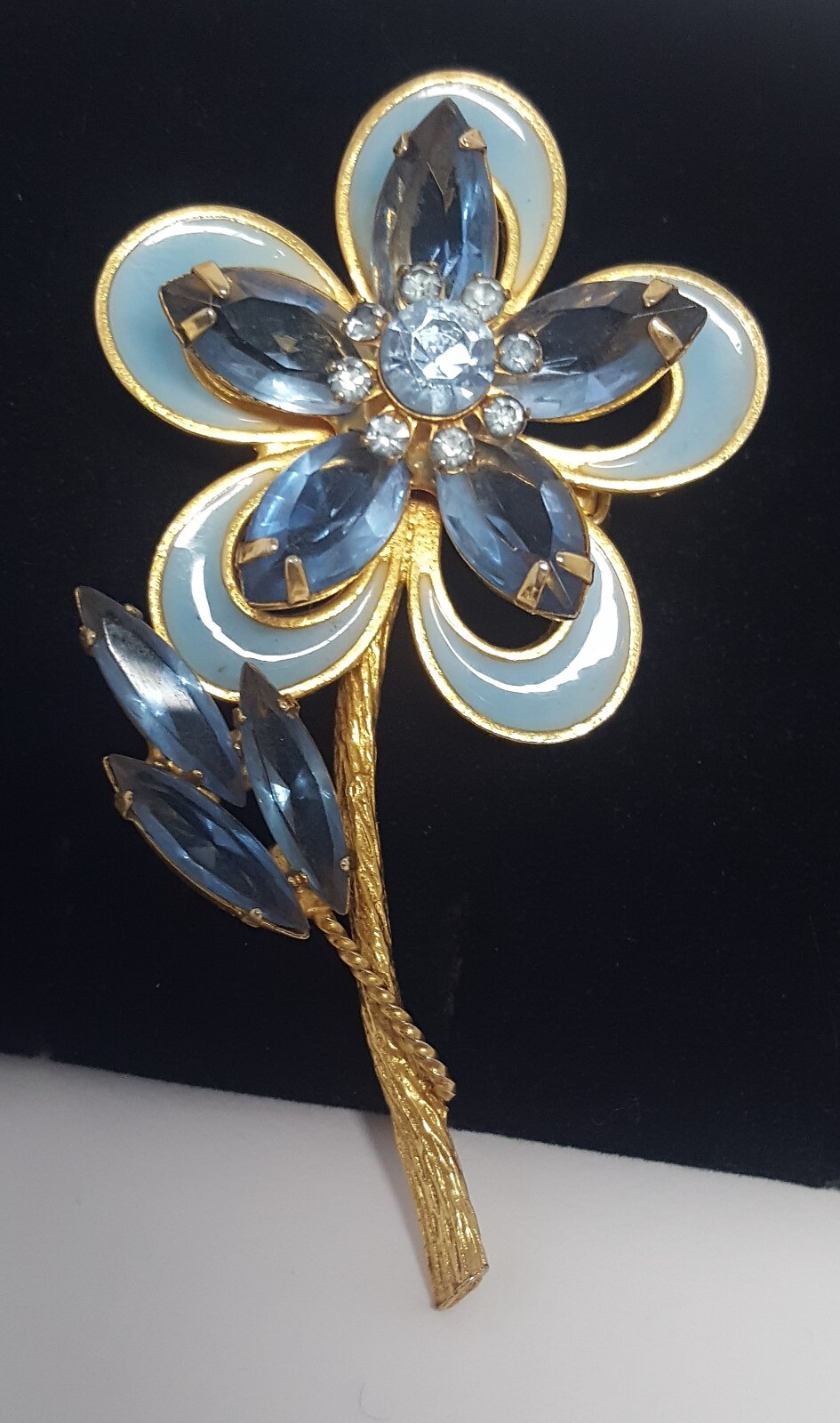 Picture 5 of 21