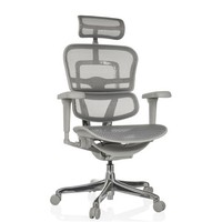 BüRostuhl Chefsessel Ergonomisch Ergohuman GEN2 Netz Grau Drehstuhl Hjh Office
