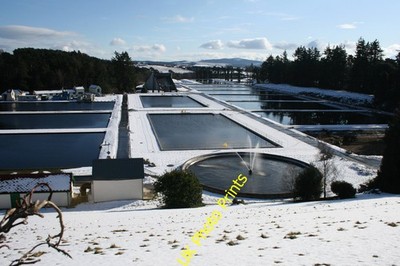 Photo A2 Vartry Reservoir, County Wicklow Knockatemple Viewed from the R c2009