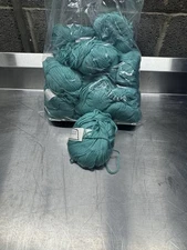 Brown Sheep Co Yarn Lambs Pride Superwash Color SW16 sea Foam 13 Skein Lot