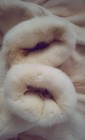 Foto 13 di 13